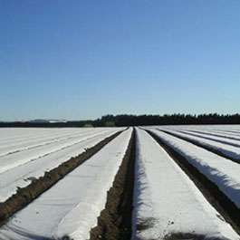 Fleece Non-woven Crop Cover